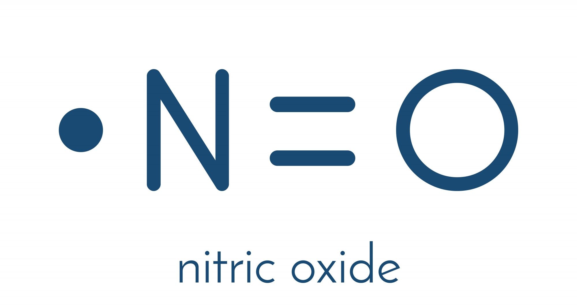 Nitric Oxide: The Secret to Explosive Workouts, Better Circulation, and Improved Performance